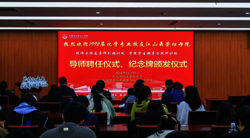 图片7